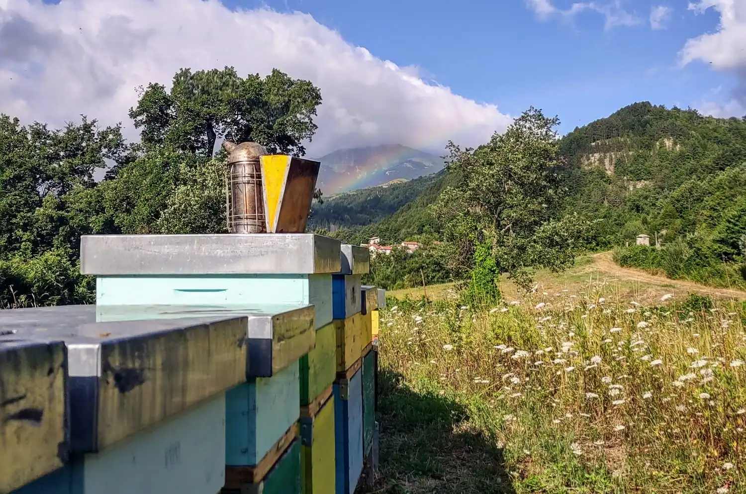 Acquabuona, paesaggio, bio