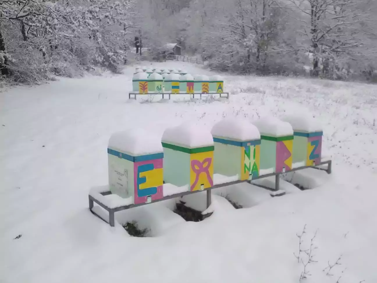 Alveare invernale, bio