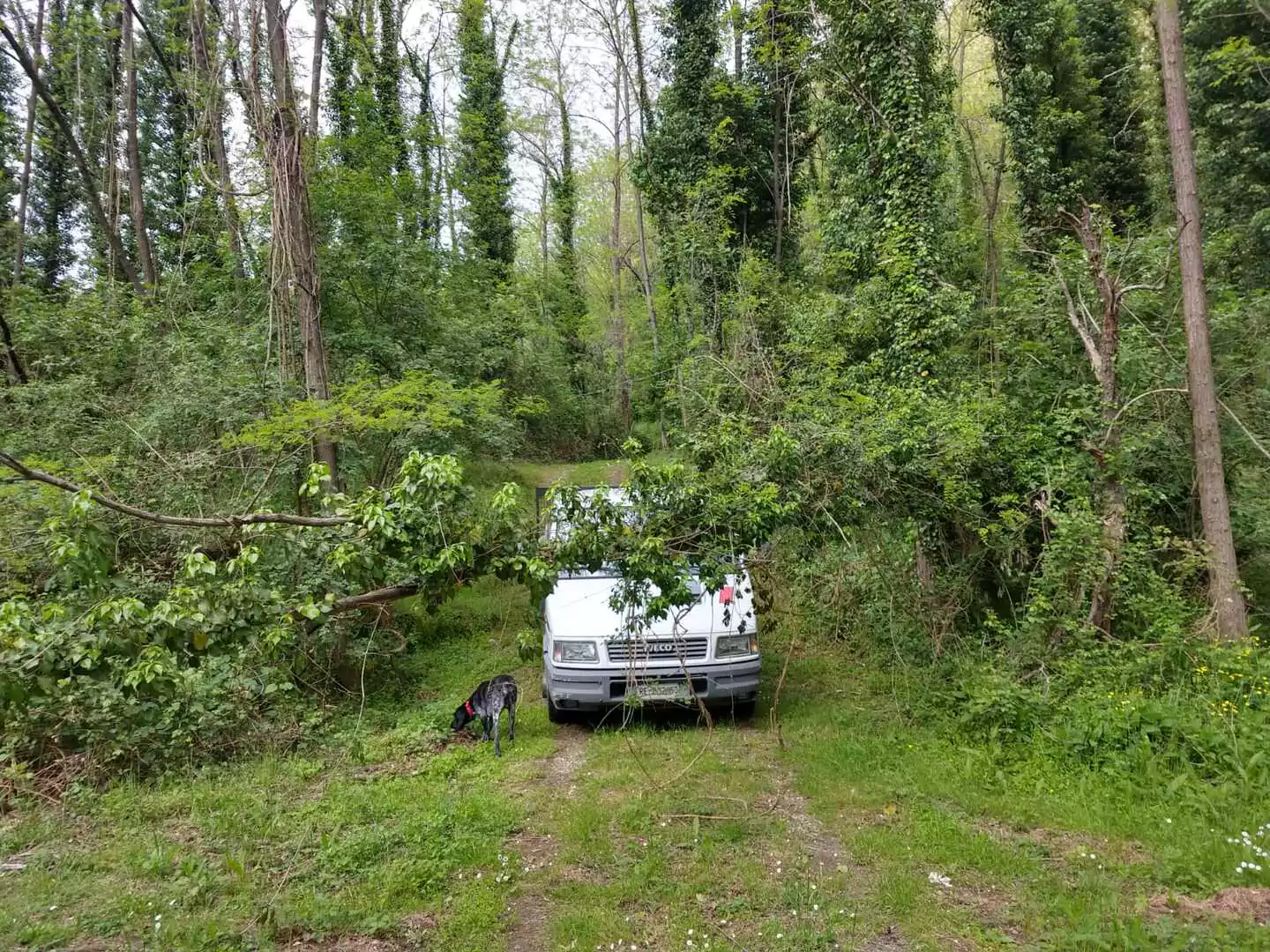 Apiario vista 10, bio