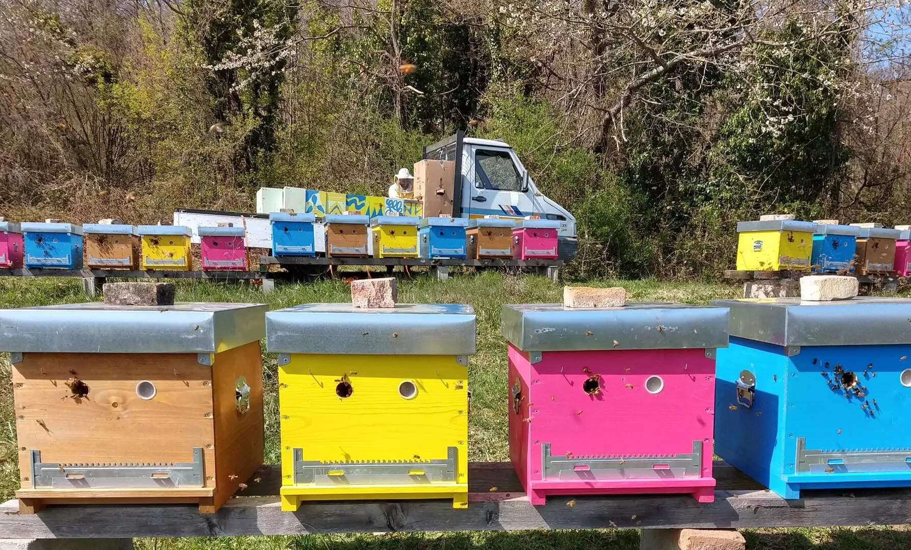 Apiario vista 5, bio