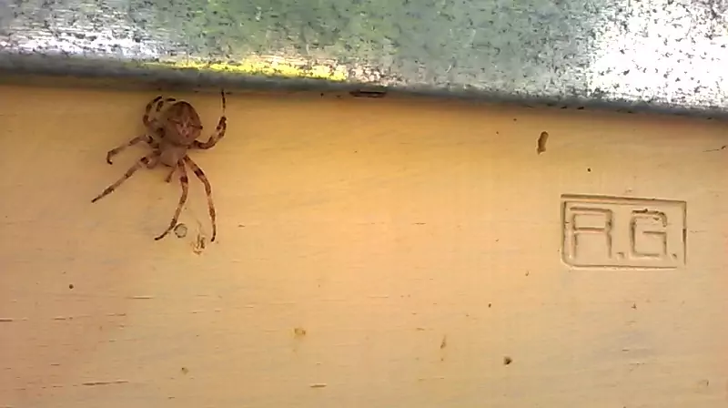 Bestiario naturale, bio