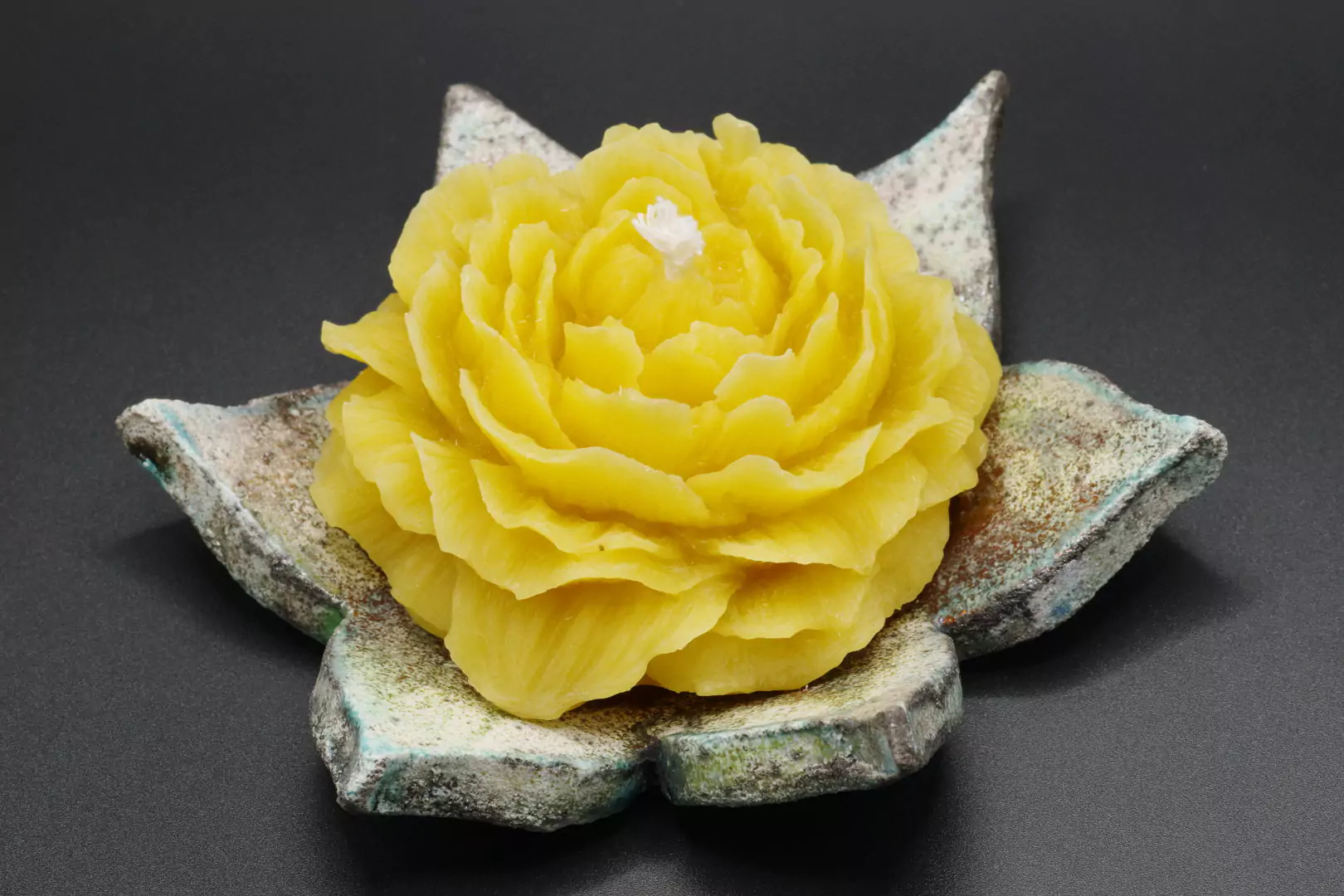 Settima candela, bio