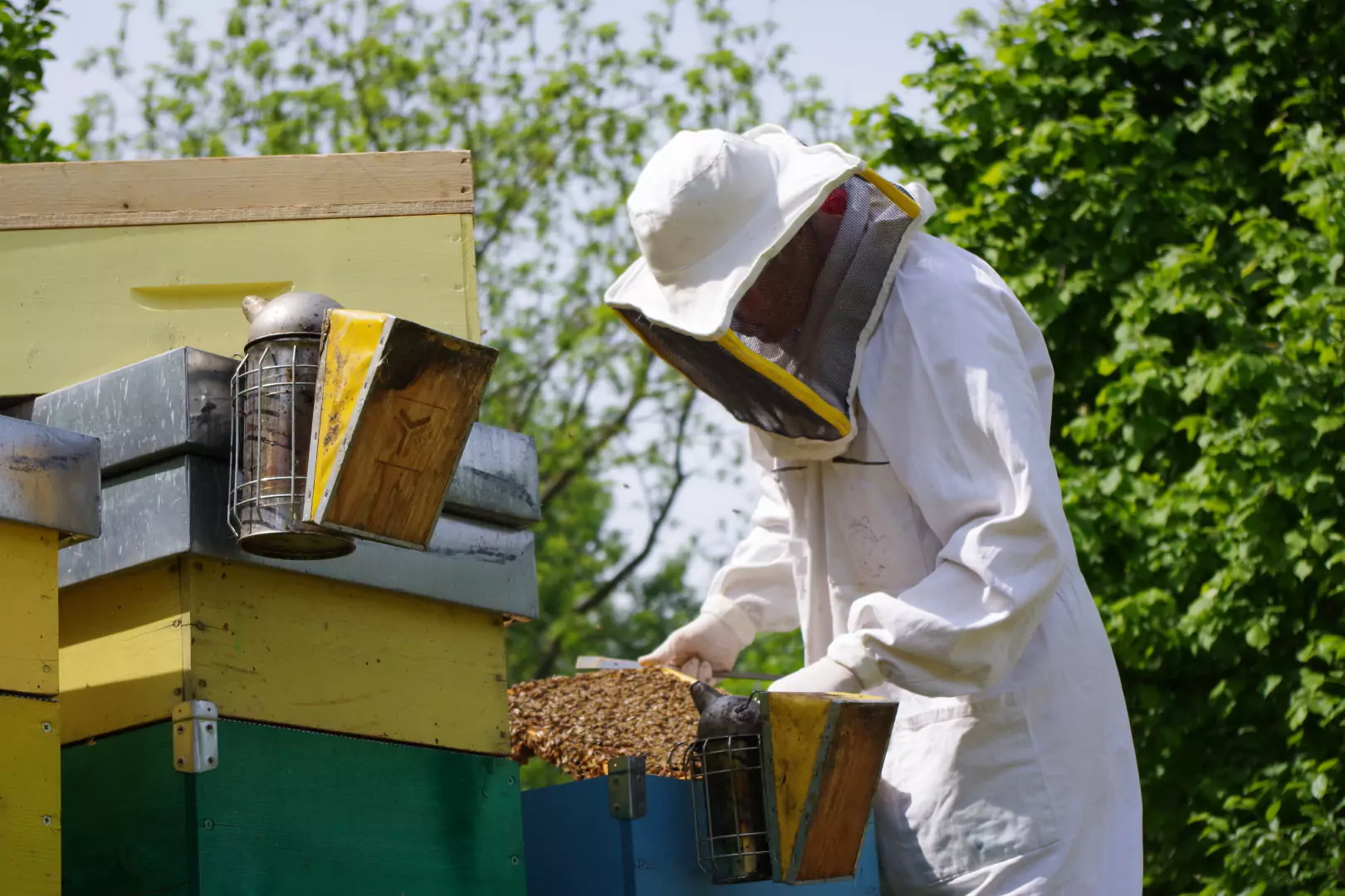 Apicoltori al lavoro